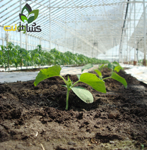 خاک کمپوست آماده گلخانه ای باغ کالا - تصویر 1